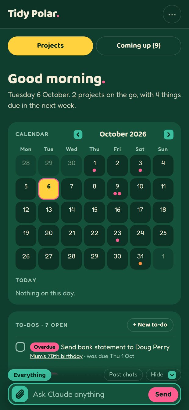 The Tidy Polar home screen on an iPhone